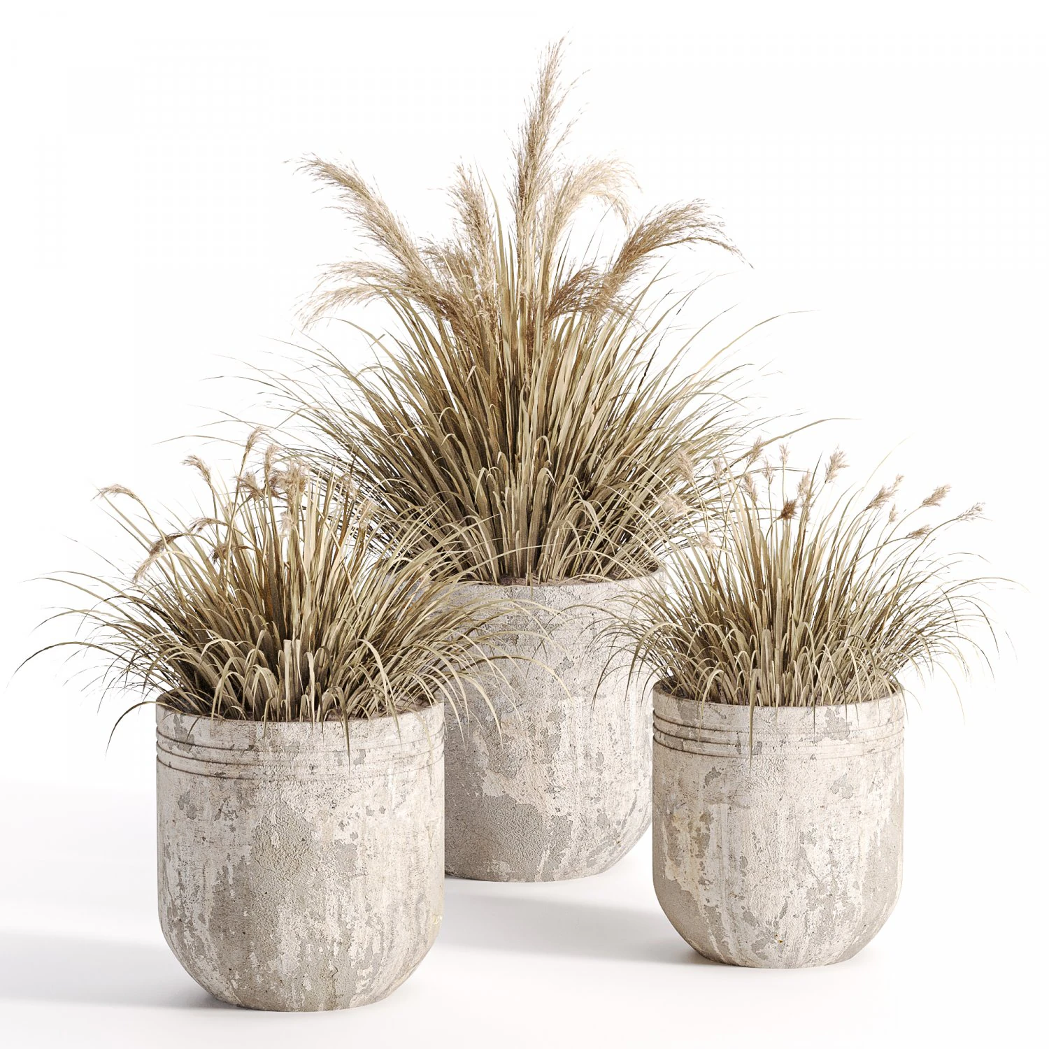 Outdoor plants in vase 001 3D Model .c4d .max .obj .3ds .fbx .stl .blend 