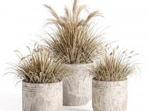 Outdoor plants in vase 001 3D Model