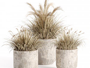 花瓶の屋外植物 001 3Dモデル