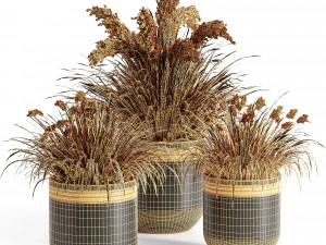 Outdoor plants in vase 001 3D Model