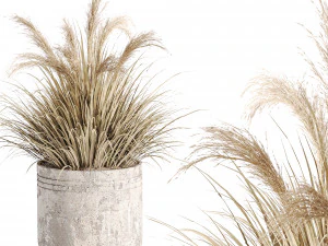 Outdoor plants in vase 001 3D Model