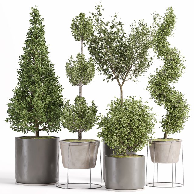 Vazoda iç mekan bitkileri-011 3D Model .c4d .max .obj .3ds .fbx .stl .blend 