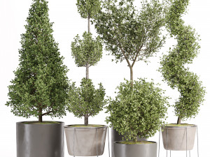 Indoor-plants-in-vase-011 3D Model