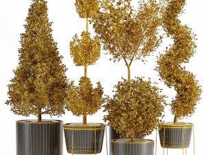 Vazoda iç mekan bitkileri-011 3D Model