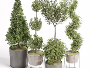 Vazoda iç mekan bitkileri-011 3D Model