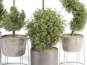 Vazoda iç mekan bitkileri-011 3D Model