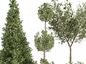 Vazoda iç mekan bitkileri-011 3D Model