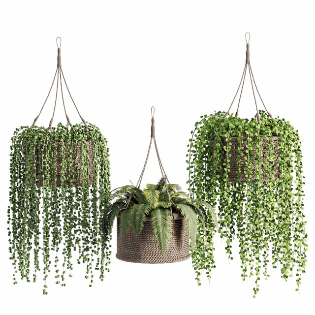 Hanging plant wicker pot01 3Dモデル .c4d .max .obj .3ds .fbx .stl .blend 