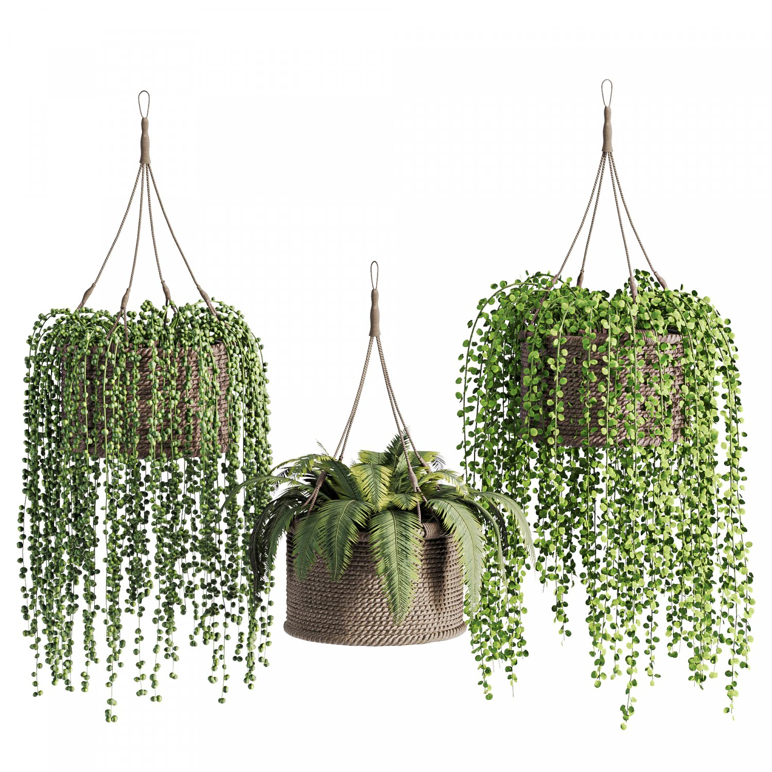 Hanging plant wicker pot01 3D Model .c4d .max .obj .3ds .fbx .stl .blend 