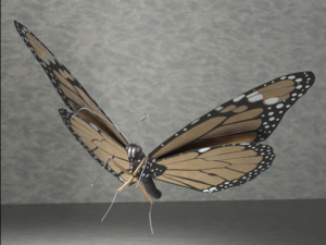 Butterfly CG Textures