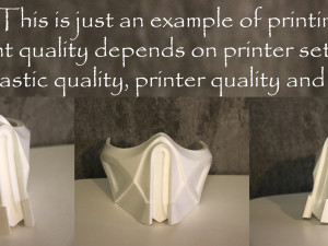 Inspired by the Frost 3D Model do druku 3D