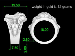 Taurus 3D 프린트 모델
