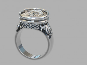 THE RING IS THE SUPREME GOD 3D प्रिंट मॉडल