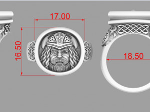 THE RING IS THE SUPREME GOD 3D प्रिंट मॉडल