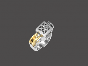 The piston ring VVV 3D Print Model
