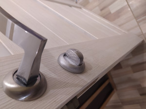 Door handle wrapper lioness 3Dプリントモデル