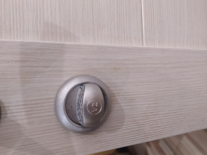 Door handle wrapper lioness 3Dプリントモデル