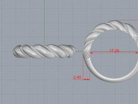 Pigtail ring 3D Print Model
