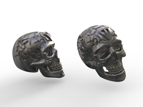 The Bitcoin Killer 3D Print Model
