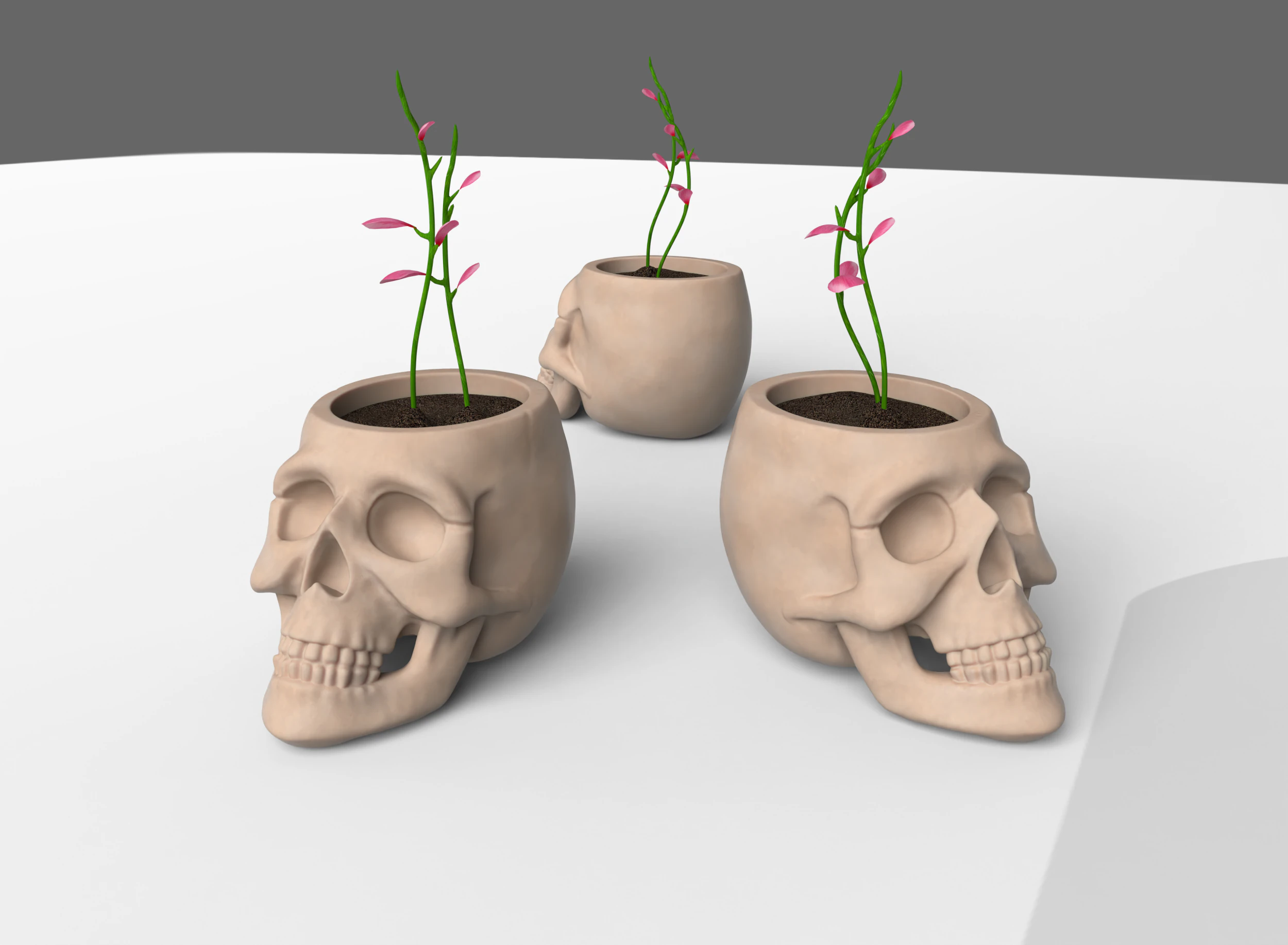The skull pot 3D Print Model .c4d .max .obj .3ds .fbx .stl .blend 