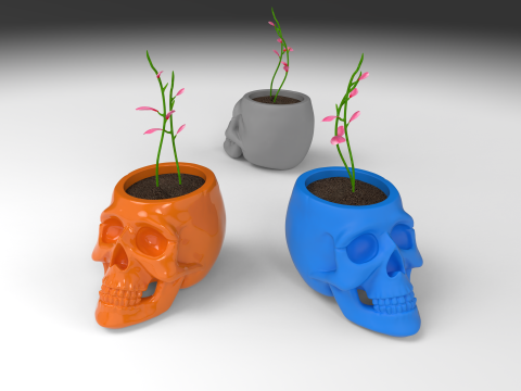 The skull pot Modello di stampa 3D