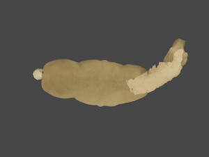 Horse of golden color 3D Model