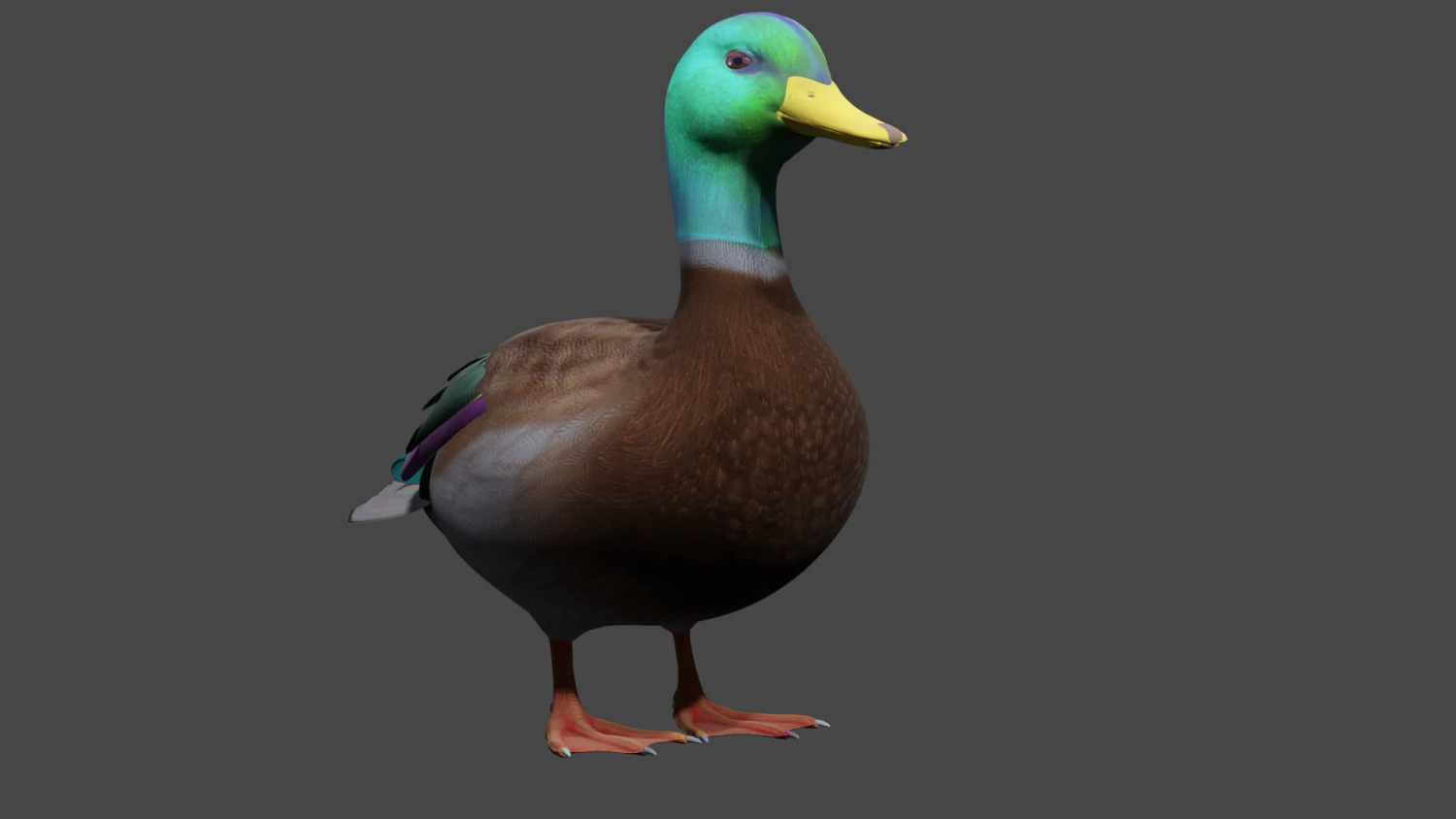 Colorful duck 3D Model .c4d .max .obj .3ds .fbx .stl .blend 