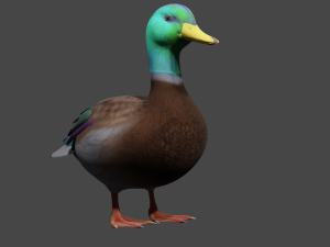 Colorful duck 3D Model