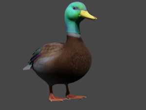 Renkli &ouml;rdek 3D Model