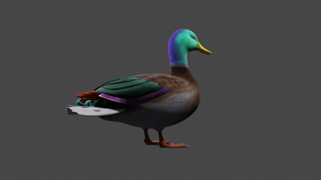 Colorful duck 3D Model in Bird 3DExport