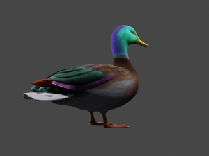 Colorful duck Modello 3D