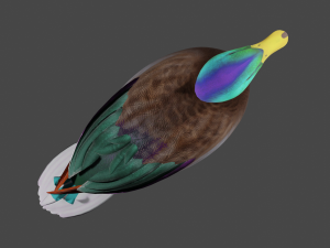 Colorful duck Modello 3D