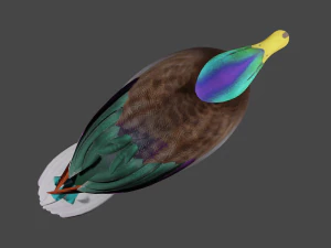 Colorful duck 3D Model