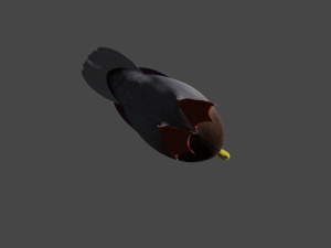 Colorful duck Modello 3D