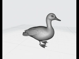 Colorful duck 3D Model