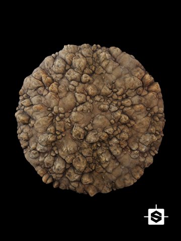 Rocks CG टेक्स्चर्स .c4d .max .obj .3ds .fbx .stl .blend 