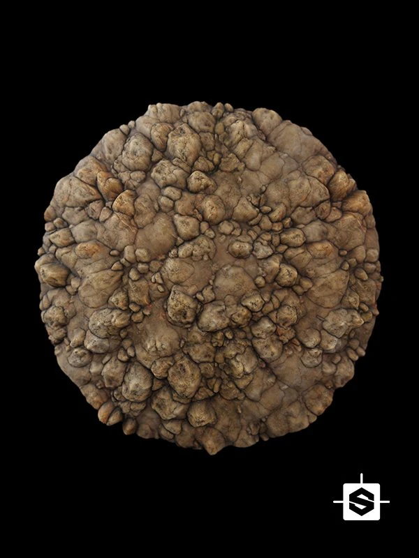 Felsen CG Texturen .c4d .max .obj .3ds .fbx .stl .blend 