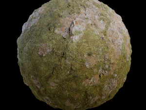 Rock Moss CG Textures