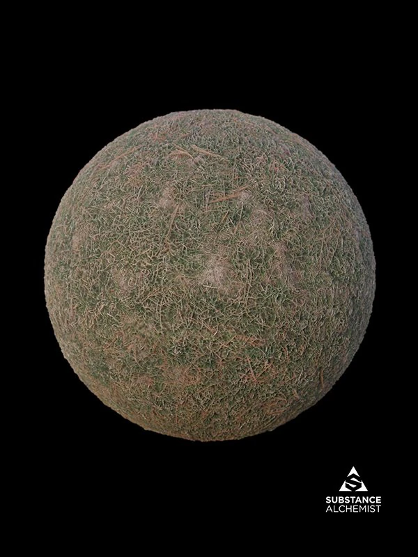 Grass CG Textures .c4d .max .obj .3ds .fbx .stl .blend 