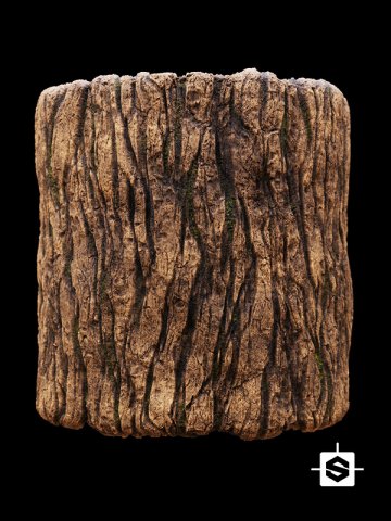 Bark CG Textures .c4d .max .obj .3ds .fbx .stl .blend 