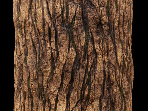 吠える CG テクスチャ