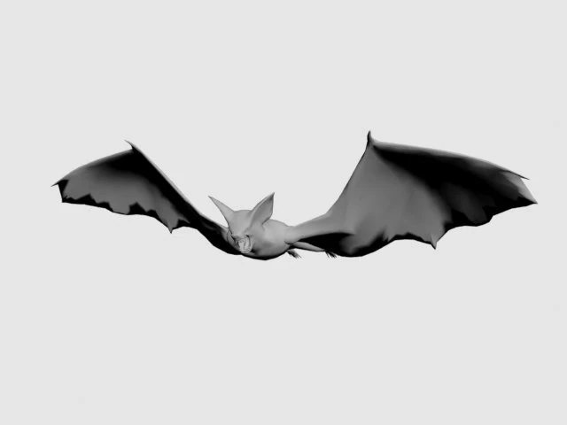 Bat-animal 3D Model .c4d .max .obj .3ds .fbx .stl .blend 