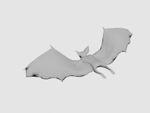 Bat-animal Modèle 3D