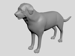 Dog concept 3D Model