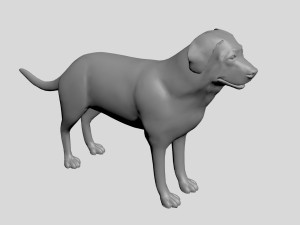 Dog concept 3D Модель