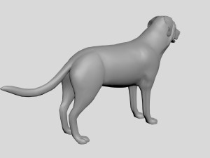 Dog concept 3D Модель
