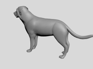 Dog concept 3D Модель