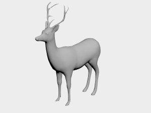Deer 3D 모델