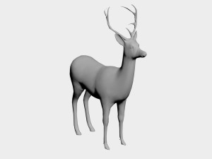 Deer 3D मॉडल