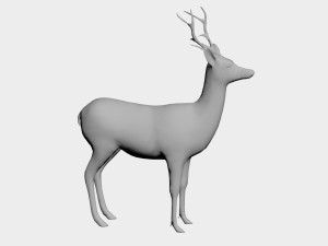 Deer 3D मॉडल